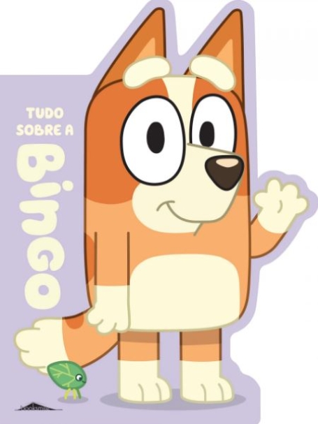 TUDO SOBRE A BINGO