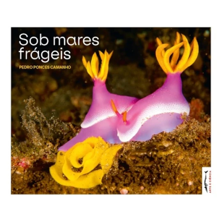 SOB MARES FRÁGEIS