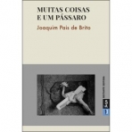 07251.10 - MUITAS COISAS E UM PASSARO