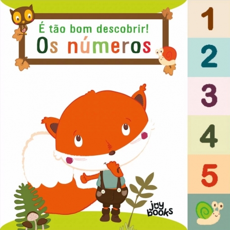 É TÃO BOM DESCOBRIR ! OS NÚMEROS