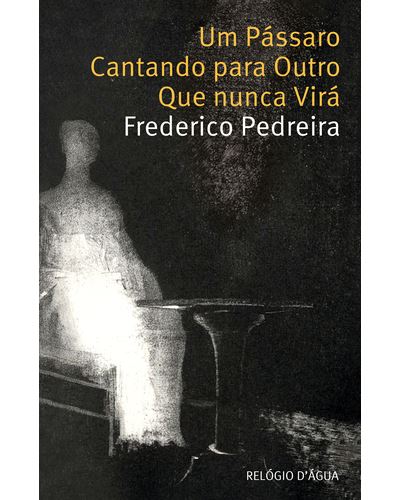 UM PÁSSARO CANTANDO PARA OUTRO QUE NUNCA VIRÁ