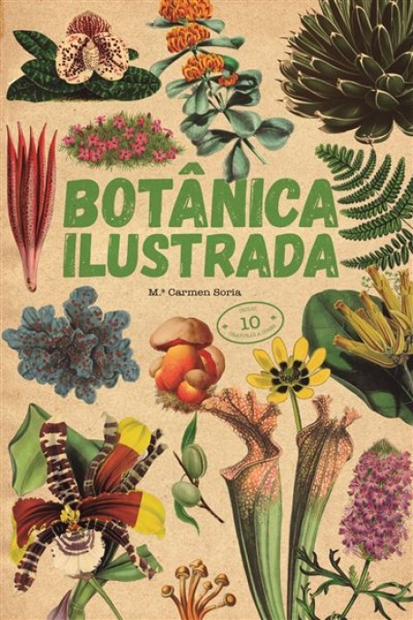 BOTÂNICA ILUSTRADA