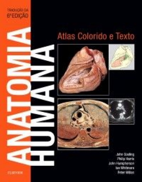 ANATOMIA HUMANA 6/19