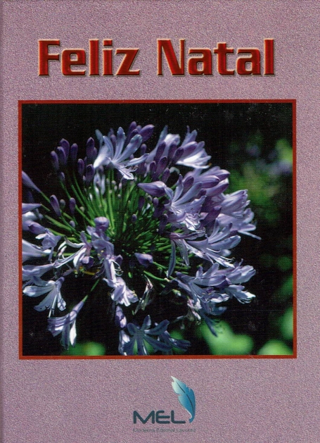 FELIZ NATAL