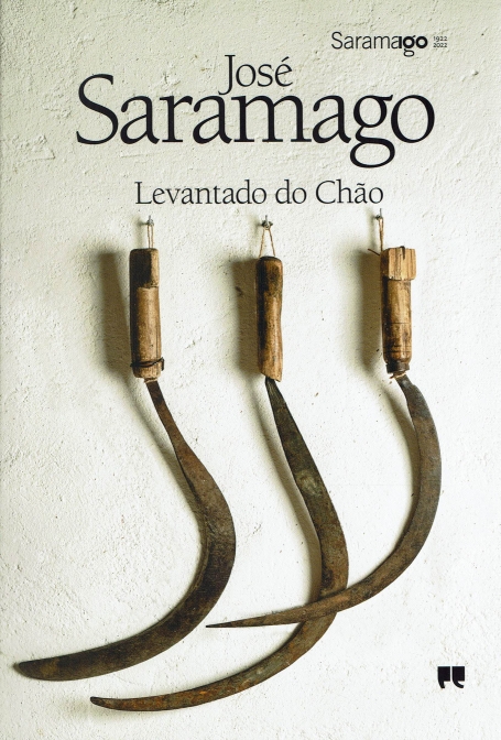 03995.10 - LEVANTADO DO CHAO