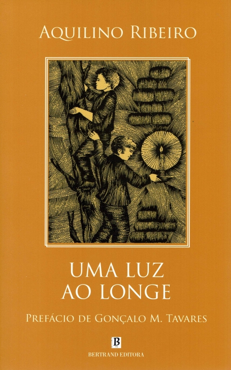 UMA LUZ AO LONGE