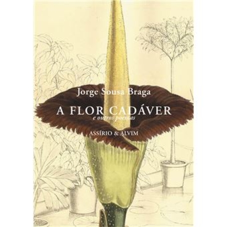 79581.10 - A FLOR CADAVER