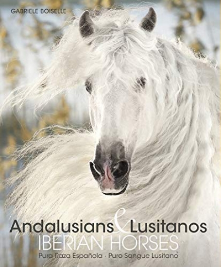 ANDALUSIANS E LUSITANOS - IBERIAN HORSES