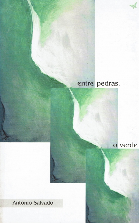 ENTRE PEDRAS O VERDE