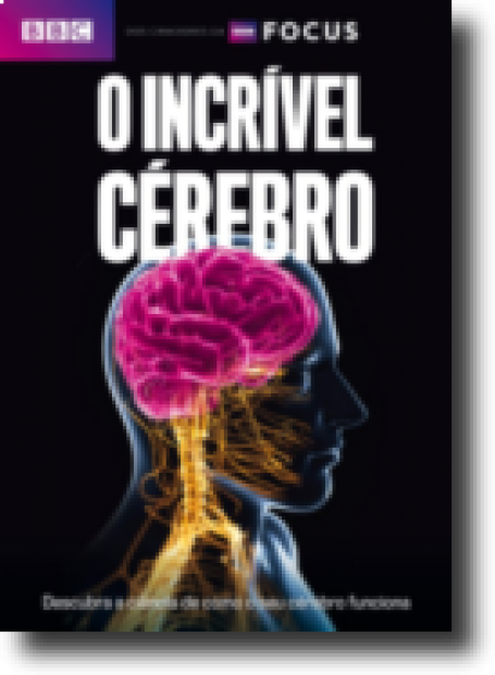 O INCRIVEL CEREBRO