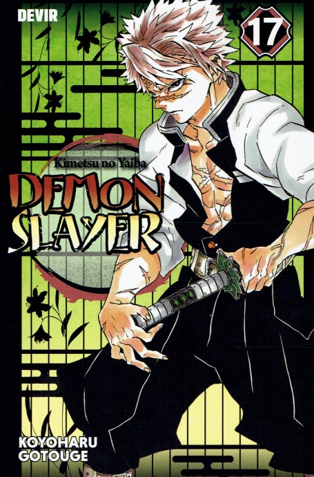 DEMON SLAYER 17
