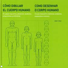 COMO DESENHAR O CORPO HUMANO - O CORPO MASCULINO E FEMININO ANATOMIA PROPORCOES E VOLUMES