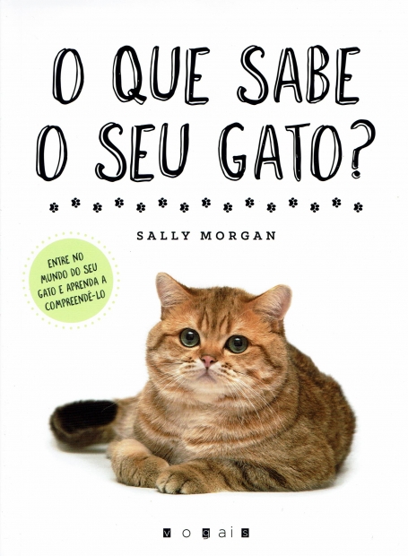 O QUE SABE O SEU GATO?