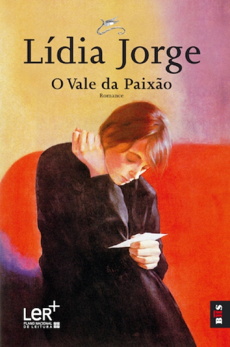 O VALE DA PAIXÃO