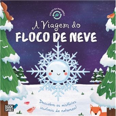 A VIAGEM DO FLOCO DE NEVE