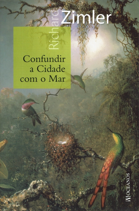 CONFUNDIR A CIDADE COM O MAR