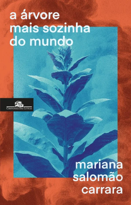 A ÁRVORE MAIS SOZINHA DO MUNDO