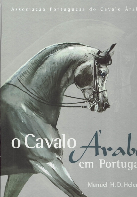 CAVALO ARABE EM PORTUGAL