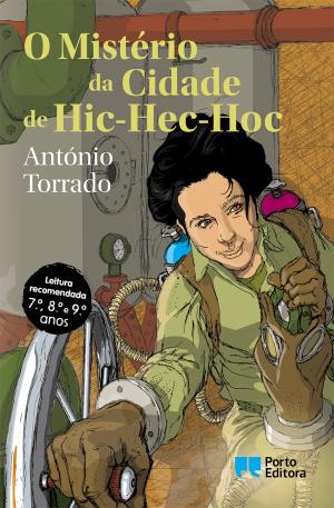 73153.10 - O MISTÉRIO DA CIDADE DE HIC-HEC-HOC