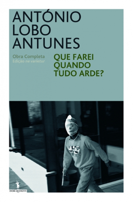 QUE FAREI QUANDO TUDO ARDE?