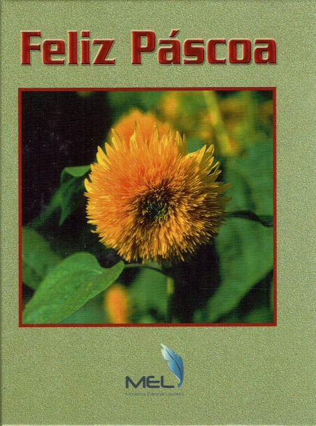 FELIZ PASCOA