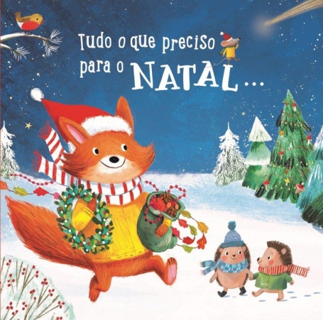 TUDO O QUE PRECISO PARA O NATAL ...