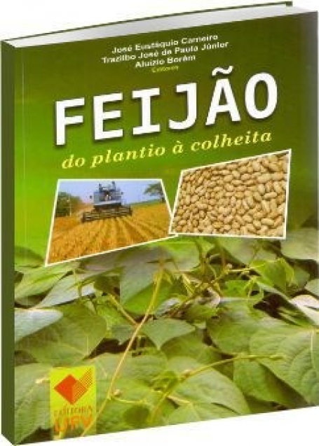 Feijão - do Plantio à Colheita - Português (do Brasil)
