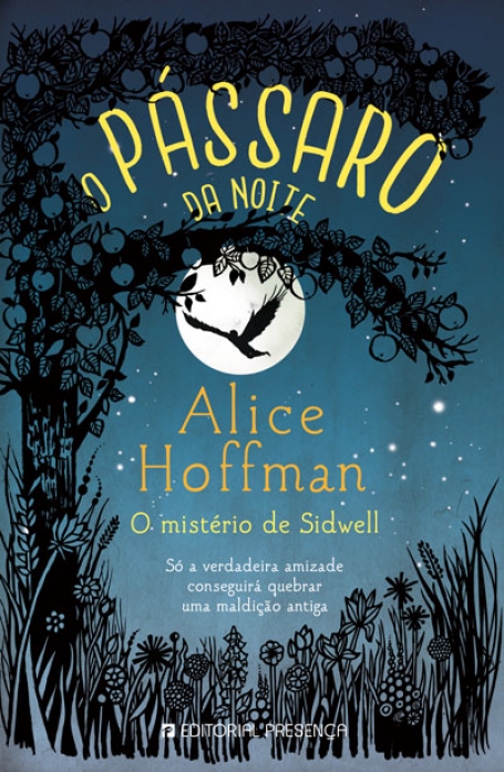 PASSARO DA NOITE