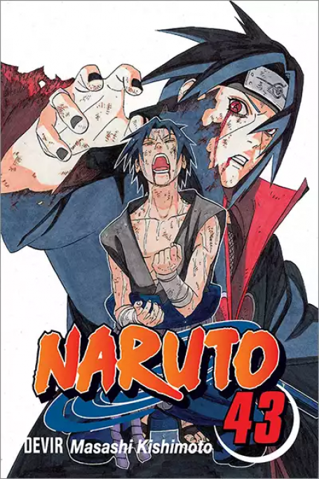 NARUTO 43 - O PORTADOR DA VERDADE