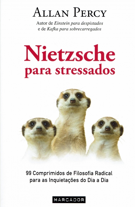 NIETZSCHE PARA STRESSADOS - 99 COMPRIMIDOS DE FILOSOFIA RADICAL PARA S INQUIETACOES DO DIA A DIA