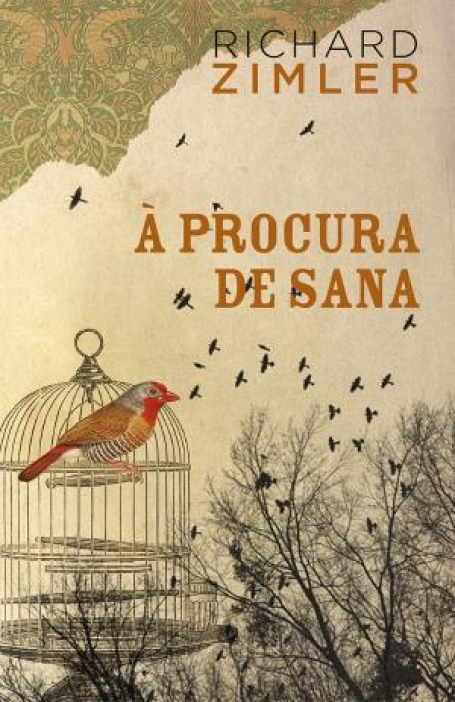 03178.10 - À PROCURA DE SANA