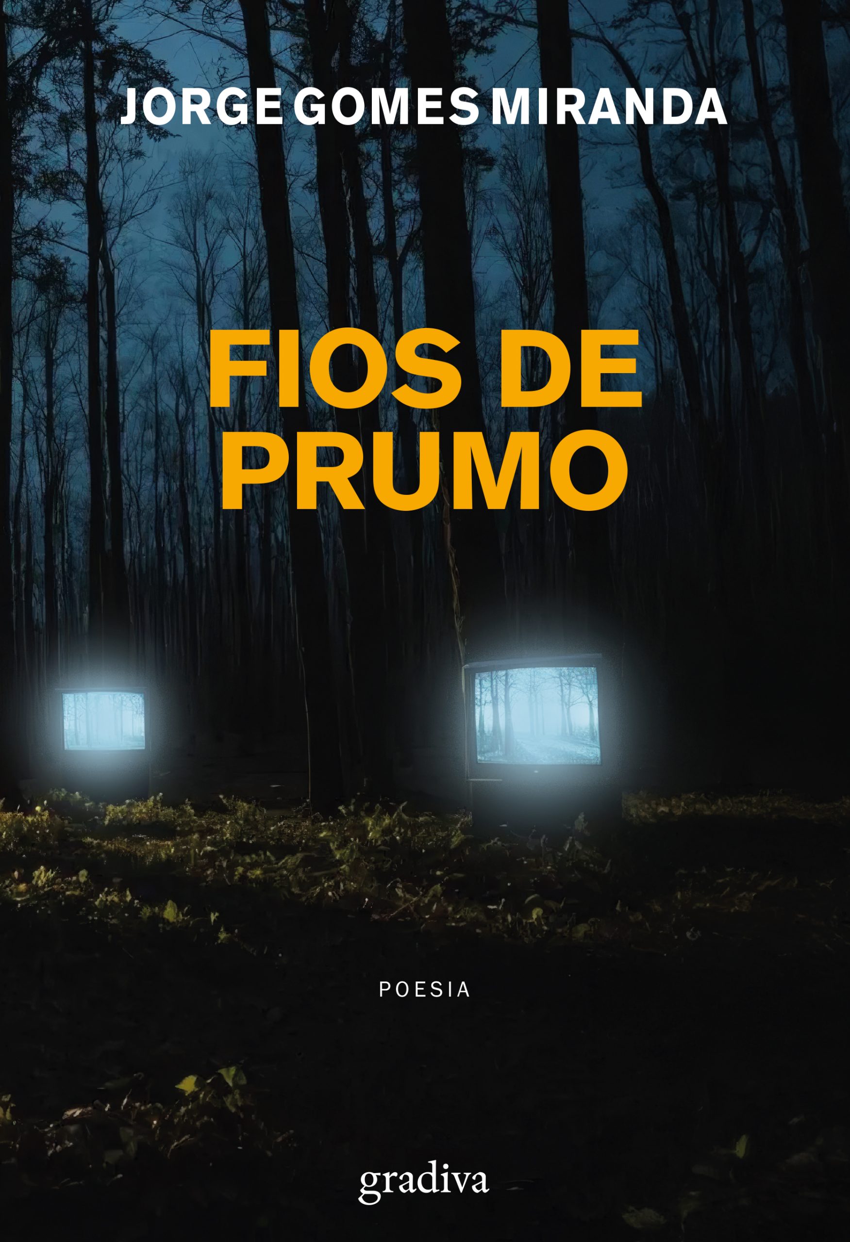FIOS DE PRUMO