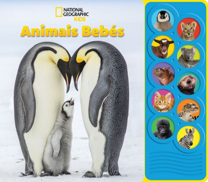 ANIMAIS BEBÉS - NATIONAL GEOGRAPHIC KIDS