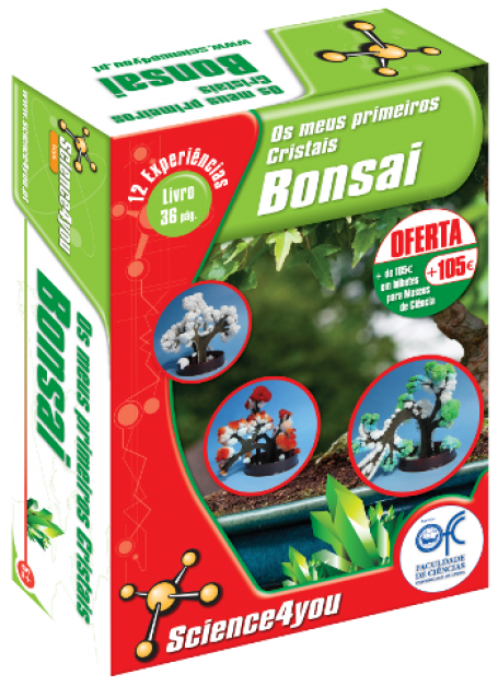 MEUS PRIMEIROS CRISTAIS - BONSAI - 12 experiencias