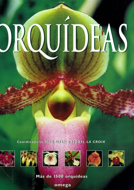 ORQUIDEAS - mas de 1500 orquideas