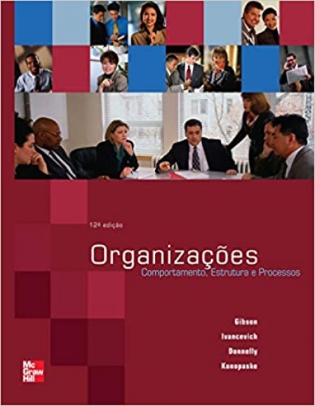 ORGANIZACOES COMPORTAMENTO ESTRUTURA E PROCESSOS