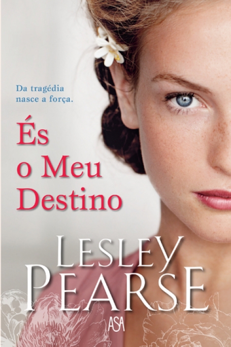 ES O MEU DESTINO