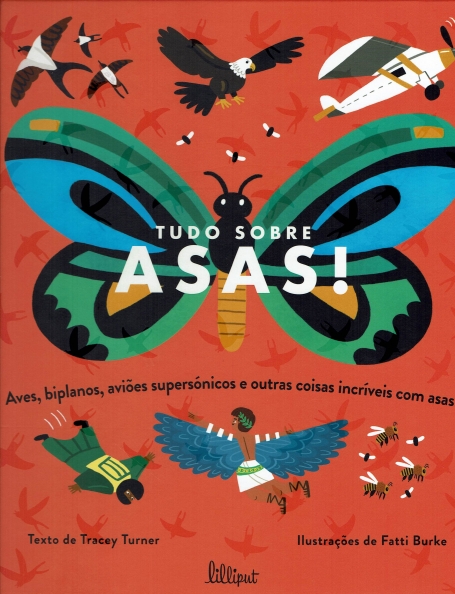 TUDO SOBRE ASAS ! aves, biplanos, avioes supersonicos e outras coisas incriveis com asas !