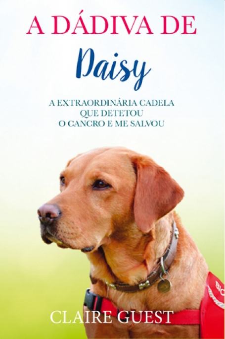 A DADIVA DE DAISY - A EXTRAORDINARIA CADELA QUE DETETOU O CANCRO E ME SALVOU
