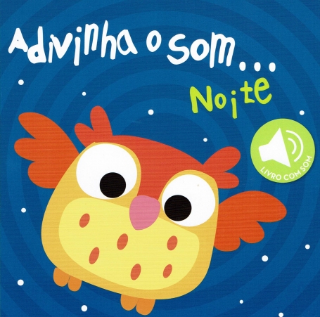 ADIVINHA O SOM... NOITE