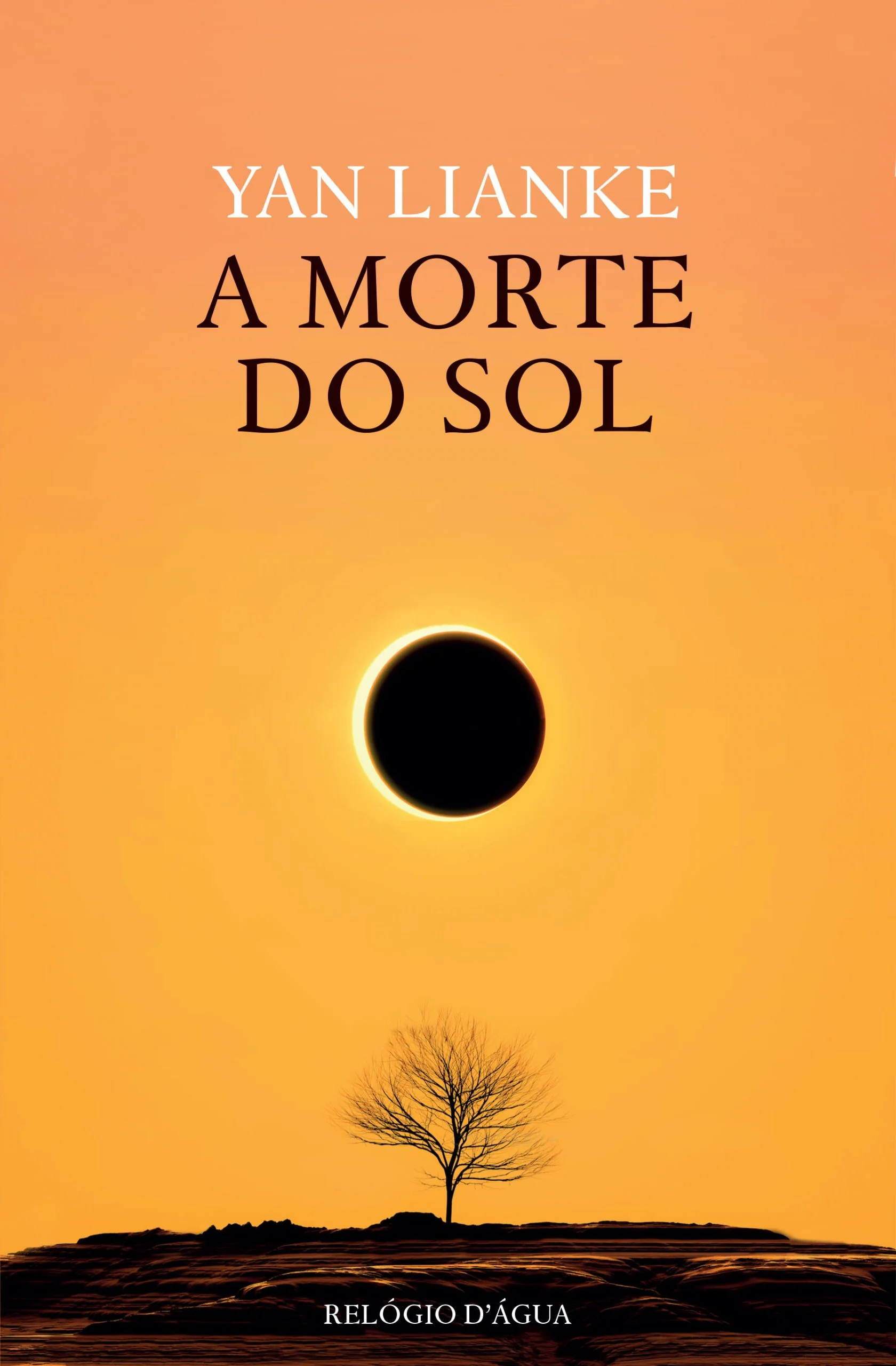 SOL E A MORTE (O) - DIÁLOGOS COM HANS-JURGEN HEINRICHS