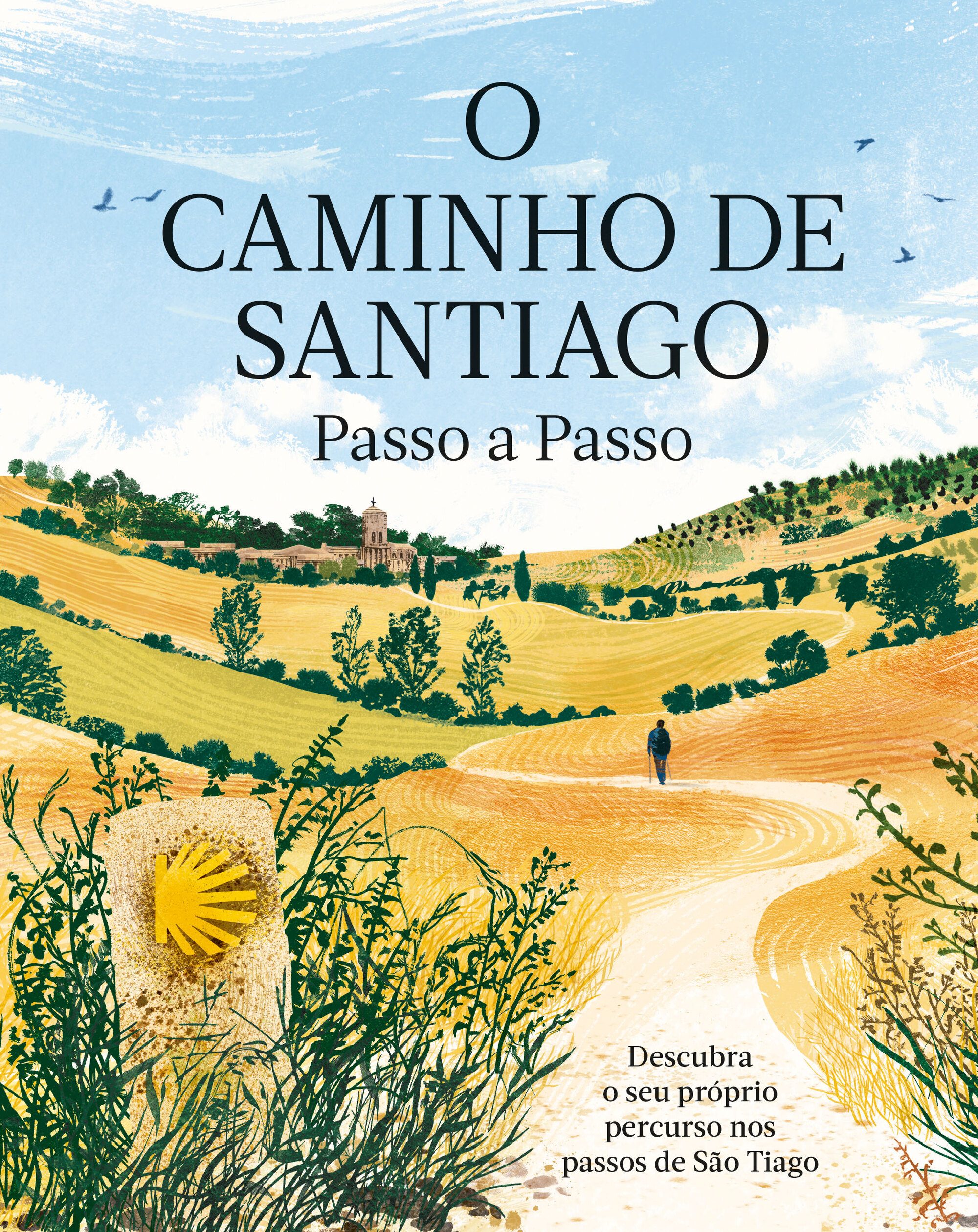 O CAMINHO DE SANTIAGO: PASSO A PASSO