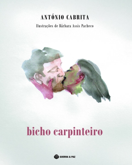 BICHO CARPINTEIRO