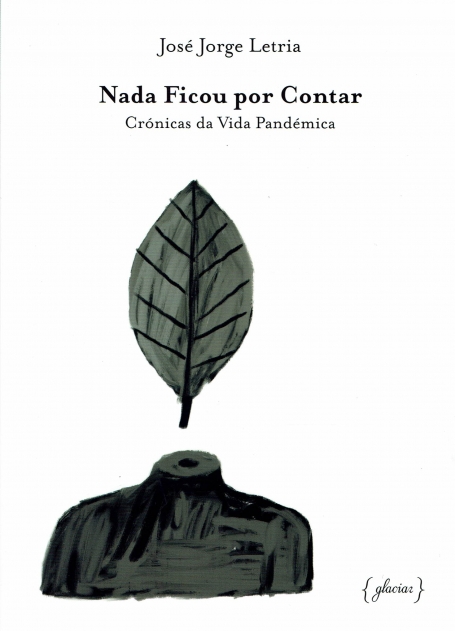 NADA FICOU POR CONTAR cronicas da vida pandemica