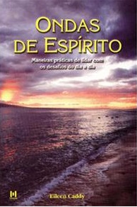 ONDAS DE ESPIRITO - maneiras praticas de lidar com os desafios do dia a dia