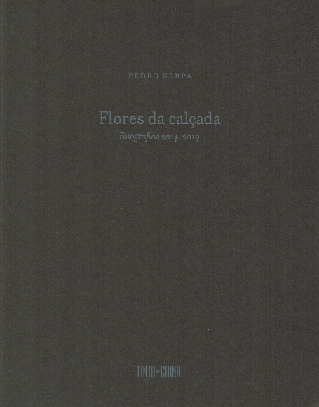 FLORES CALÇADA - FOTOGRAFIAS 2014-2019