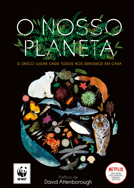 O NOSSO PLANETA