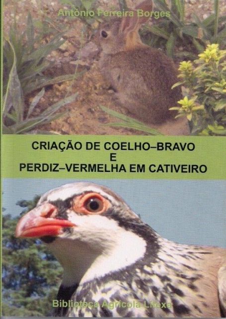 CRIACAO DE COELHO BRAVO E PERDIZ VERMELHA EM CATIVEIRO