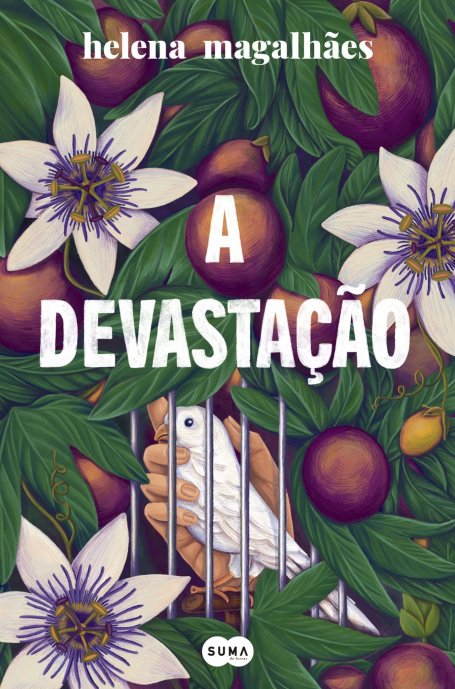 A DEVASTAÇÃO