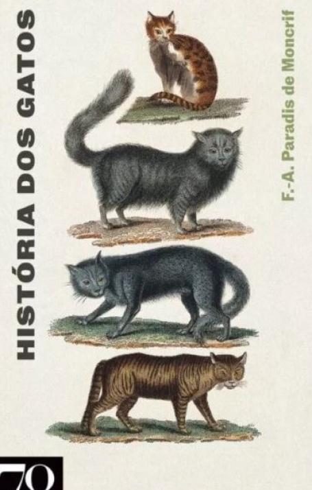 HISTÓRIA DOS GATOS
